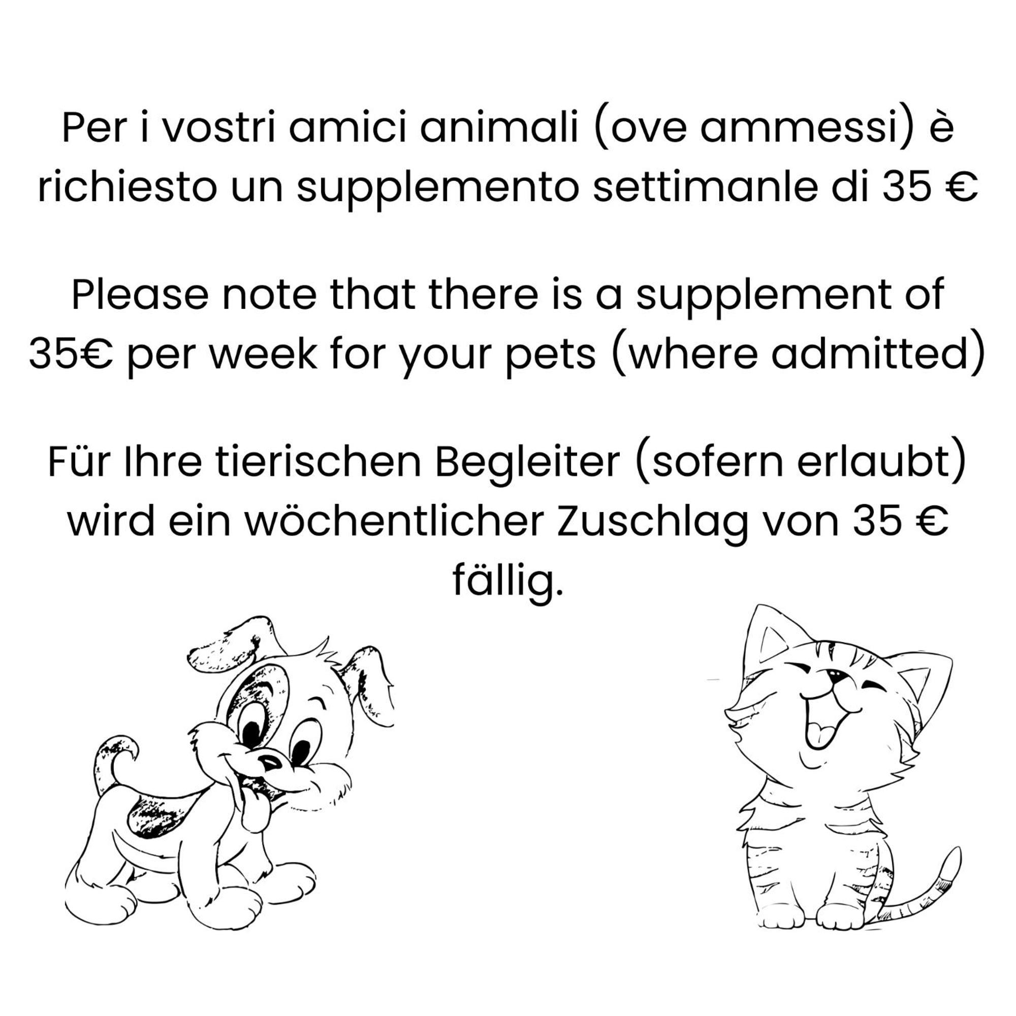 Ariston - Walterigato Solo Per Famiglie *